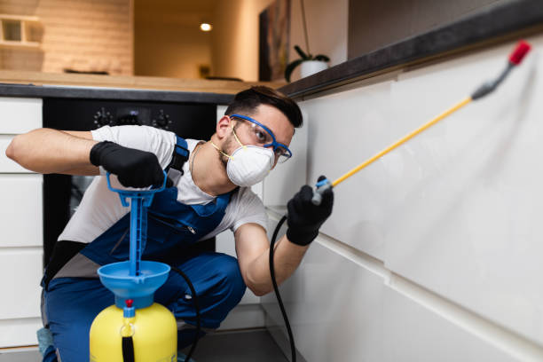 Best Wildlife Control Services  in Kennesaw State University, GA