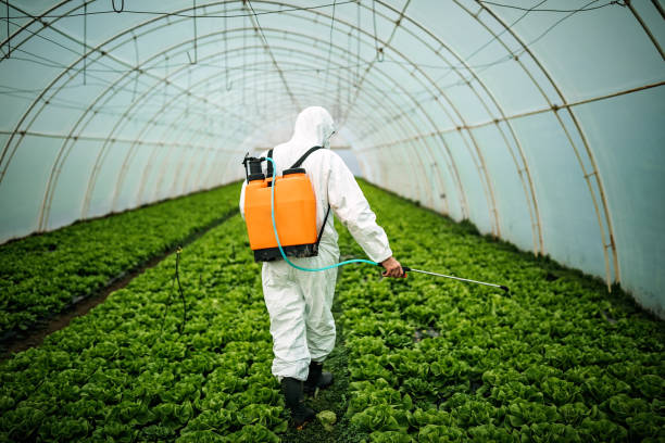 Best Commercial Pest Control Services  in Kennesaw State University, GA
