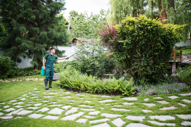 Trusted Kennesaw State University, GA Pest Control Experts