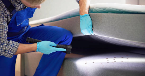 Best Local Pest Control Services  in Kennesaw State University, GA