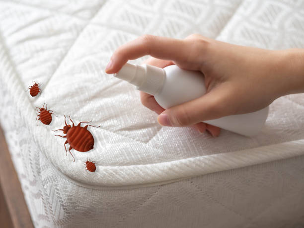 Best Pest Control Near Me  in Kennesaw State University, GA