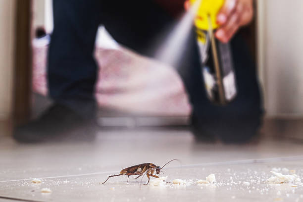 Best Cockroach Control Services  in Kennesaw State University, GA