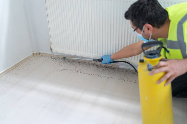 Best Emergency Pest Control  in Kennesaw State University, GA